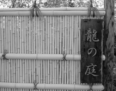 画像の説明