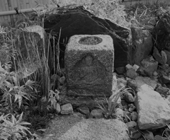 画像の説明 画像の説明