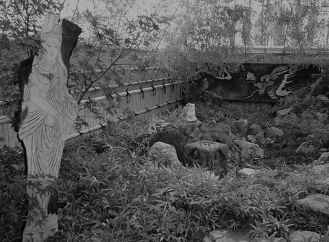 画像の説明 画像の説明